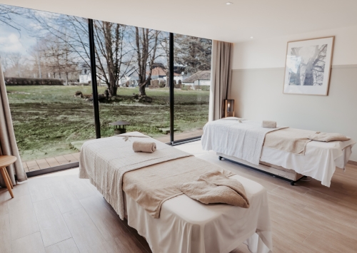 E-carte cadeau ADN SPA – Image 3