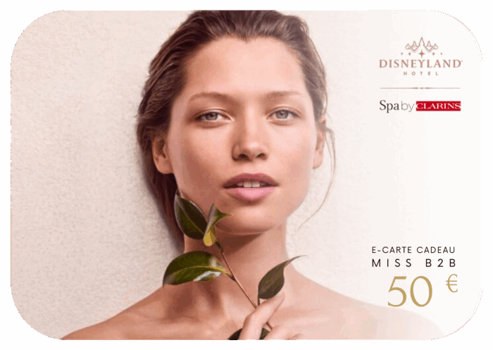 Pass Bien-Être Spa by Clarins Chessy Disneyland Hôtel