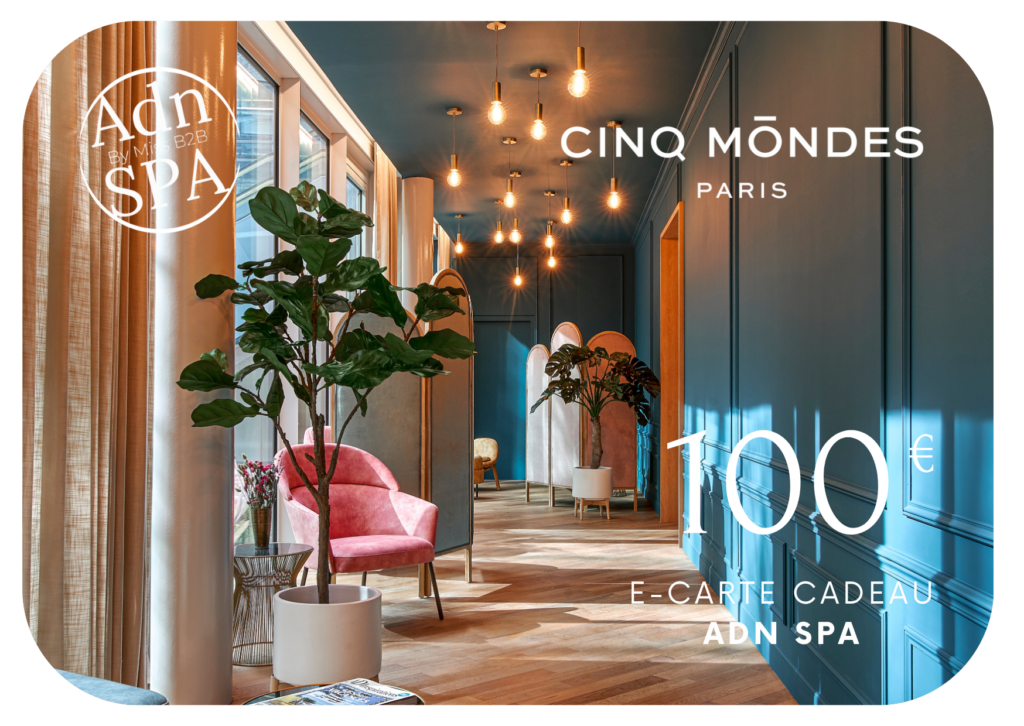 E carte cadeau- Cinq Mondes Samaritaine 100€ (2)